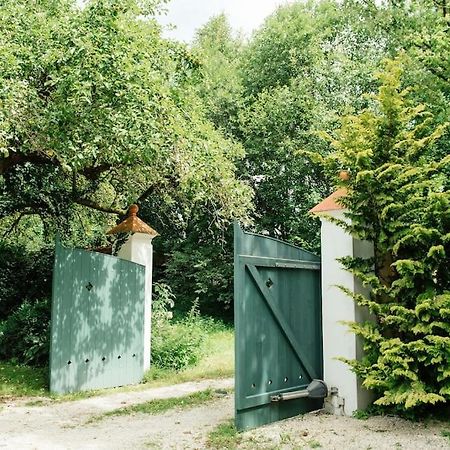 Ferienwohnung In Der Villa Sana Mit Grossem Garten Rofingen Kültér fotó