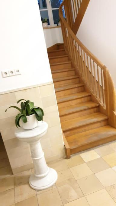 Ferienwohnung In Der Villa Sana Mit Grossem Garten Rofingen Kültér fotó