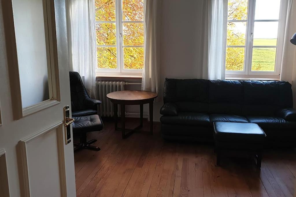 Ferienwohnung In Der Villa Sana Mit Grossem Garten Rofingen Kültér fotó