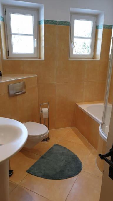 Ferienwohnung In Der Villa Sana Mit Grossem Garten Rofingen Kültér fotó